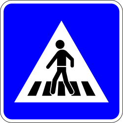 Information Crossing Pedestrian