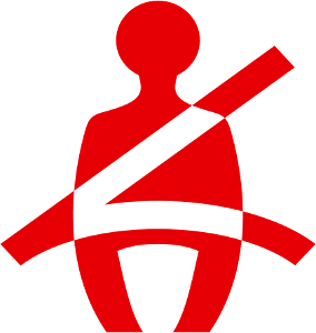Seat Belt