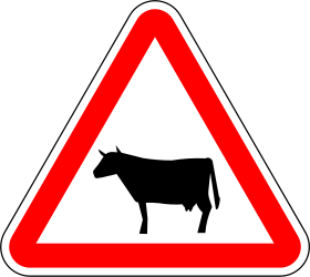 Warning Animal Cattle