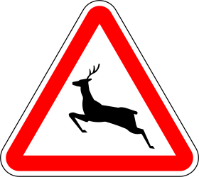 Warning Animal Deer