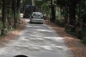 Portugal Driving License