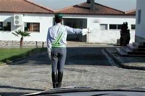 Portugal Driving License