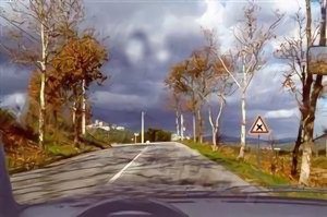 Portugal Driving License