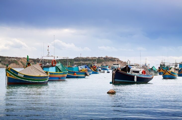 Commercial fishing - one of the most profitable business in Portugal