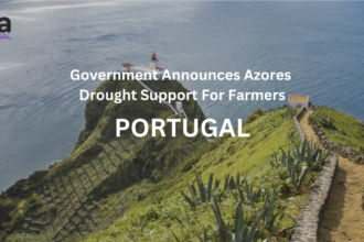 Government Announces Azores Drought Support For Farmers