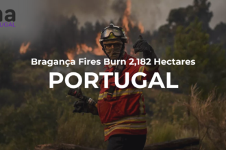 Bragança Fires Burn 2,182 Hectares