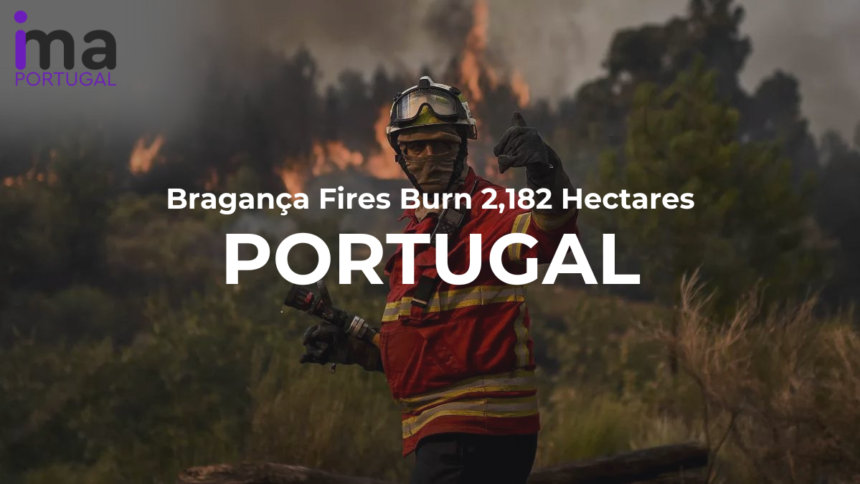 Bragança Fires Burn 2,182 Hectares