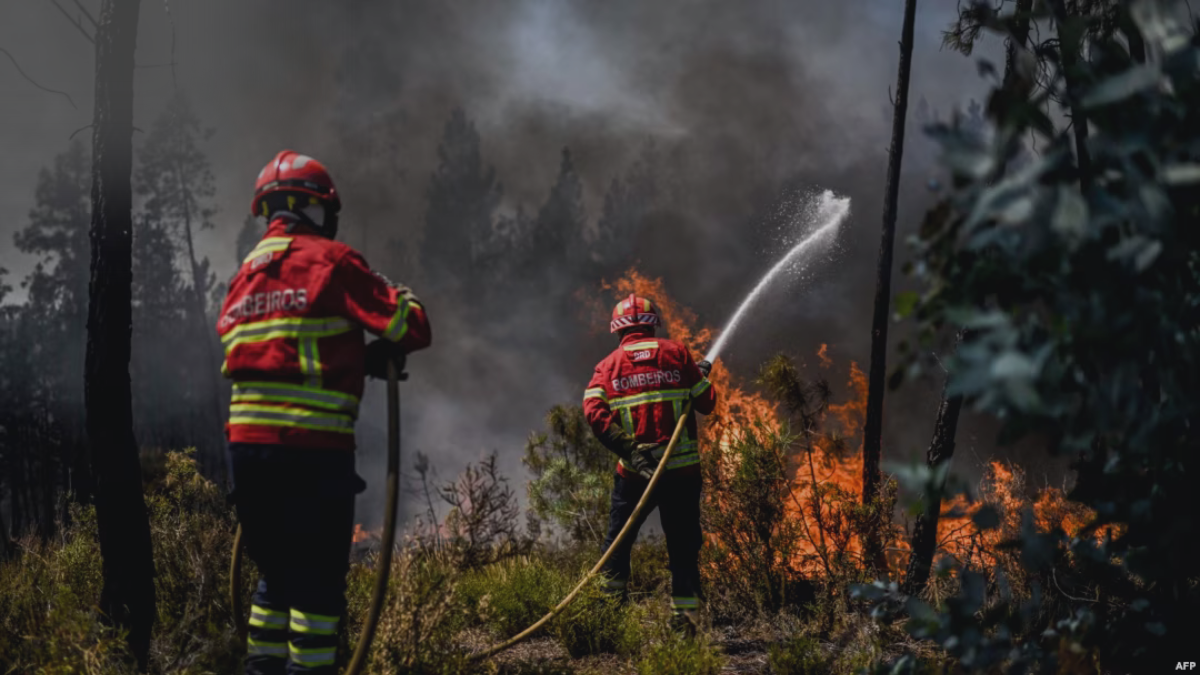 Bragança Fires