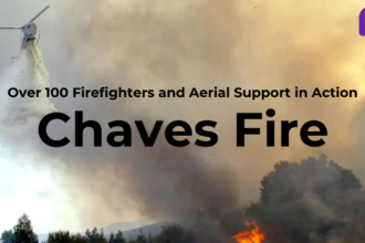 Chaves Fire Action Taken Against