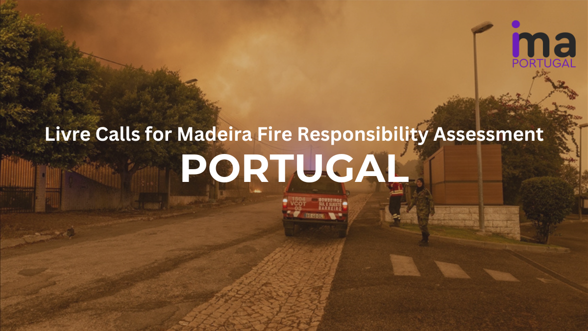 Livre Calls for Madeira Fire Responsibility Assessment