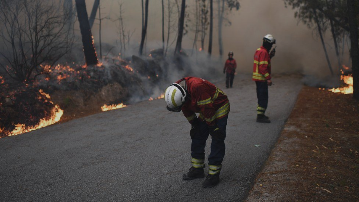 Goverment Madeira Fire Response 