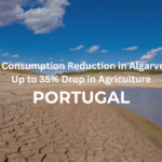 Water Consumption Reduction in Algarve Sees Up to 35% Drop in Agriculture