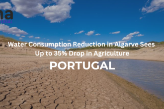 Water Consumption Reduction in Algarve Sees Up to 35% Drop in Agriculture