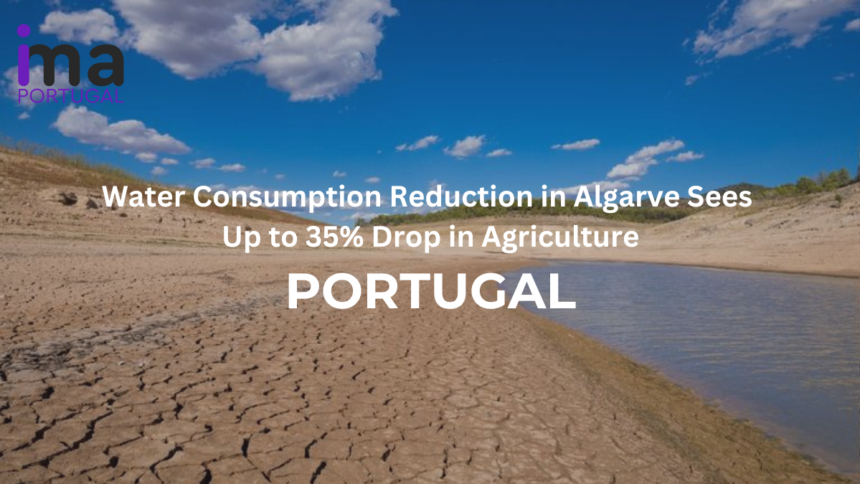 Water Consumption Reduction in Algarve Sees Up to 35% Drop in Agriculture