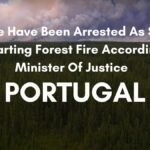 24 people arrested for forest fire