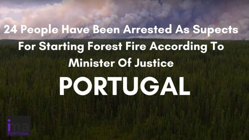 24 people arrested for forest fire