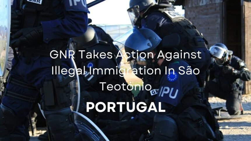 Illegal Immigration In São Teotónio