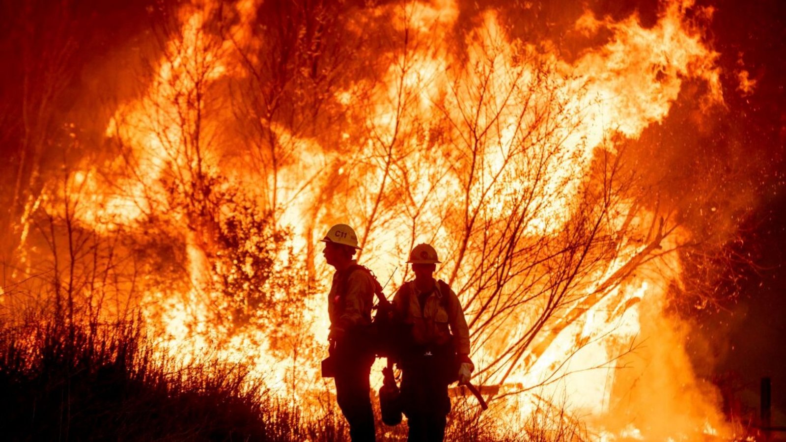 Wildfires In California