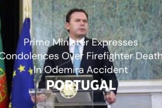 Odemira Firefighter Accident