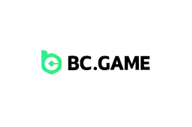 BC.GAME پاکستان انٹرنیٹ پر خوش قسمت گیمنگ کا تجربہ