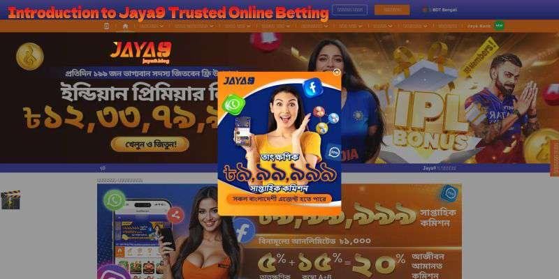 How to Bet Successfully on 9Wicket A Comprehensive Guide