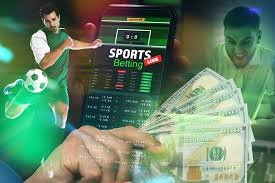 D&eacute;couvrez Betwinner  Plateforme de paris sportifs de premier choix